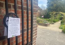 Girl was seriously assaulted in Farnham as group of teens looked on