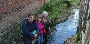 Alton sees fish return to urban section of River Wey