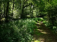 Help Sussex Wildlife expand one of UK's most important nature reserves