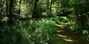 Help Sussex Wildlife expand one of UK's most important nature reserves
