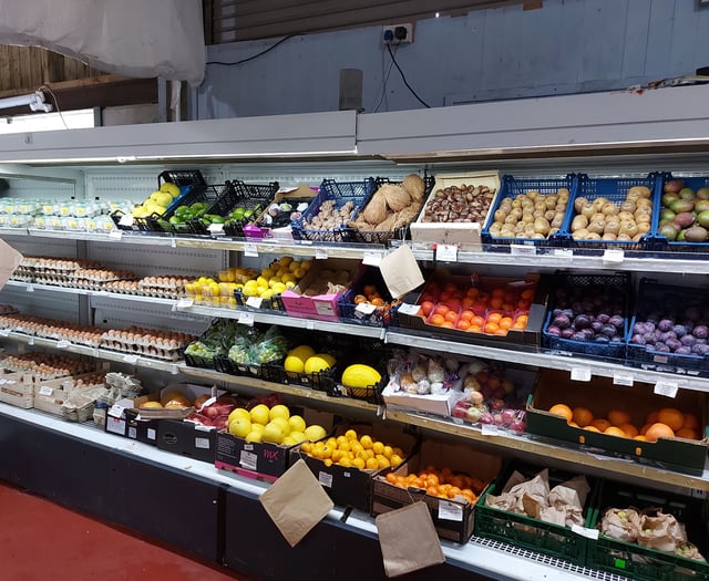 Five-pence sprouts are a bargain – but at what cost to farmers?