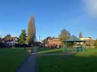 One of Farnham's tallest trees to be felled next week, council says