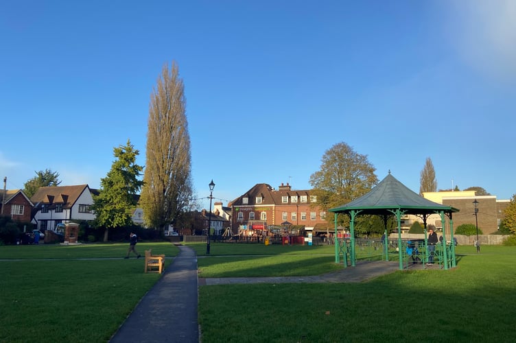 One of Farnham's tallest trees and Gostrey Meadow's last-remaining Lombardy poplar looks set to be felled