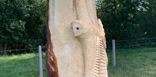 Farnham Town Council to spend £8,000 on tree carvings despite backlash
