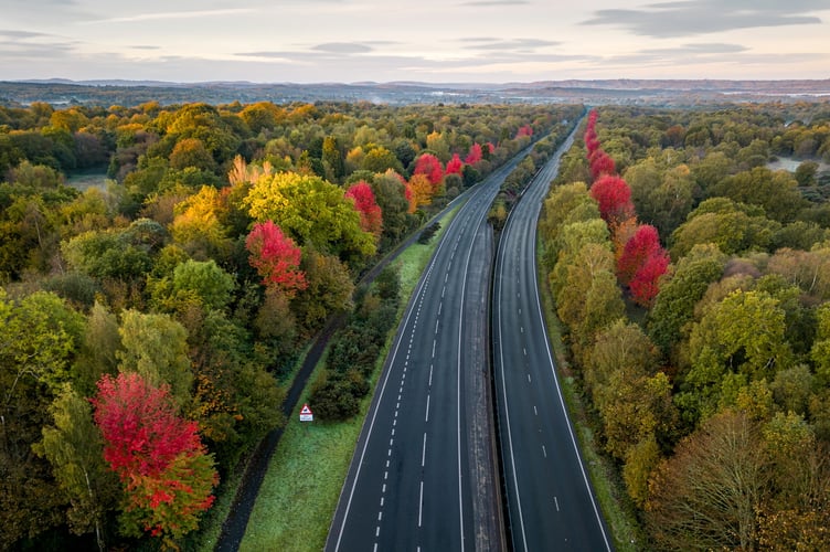 The autumnal red maple trees - commemorating Canadian 418 soldiers who died in both World Wars - on the A3 in Hampshire. October 22 2023.  Photo released October 27 2023. See SWNS story SWLNmaples. Stunning photos show autumnal red maple trees dotted along a motorway - commemorating Canadian 418 soldiers who gave their lives during war. Many motorists are unaware they are passing through a treasured war memorial on the A3 in Hampshire.A total of 418 of these maples, Canadaâs national tree, were placed along the A3 near Liphook to mark the lives of 418 Canadian servicemen who died in both World Wars. The servicemen trained locally and died at Bramshott during both wars.There was a Canadian training base in the area, as well as a large hospital caring for sick and wounded soldiers.