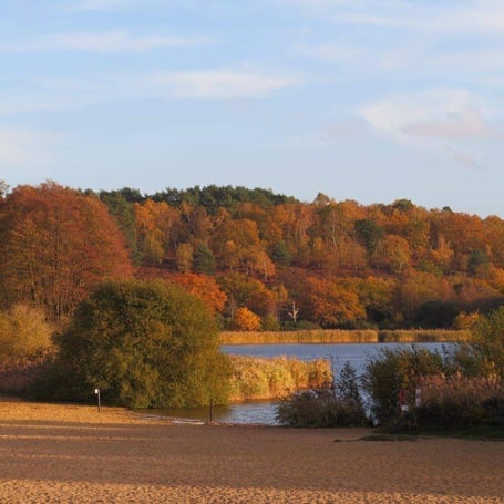Frensham Great Pond in the autumn