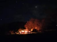 Join the Wassailing fun at Swan Barn Farm in Haslemere this January