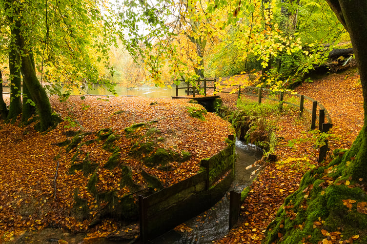 A riot of colour at Waggoners Wells