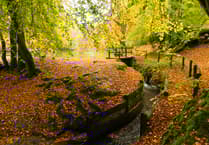 Could East Hampshire’s hidden gems join the Surrey Hills AONB?