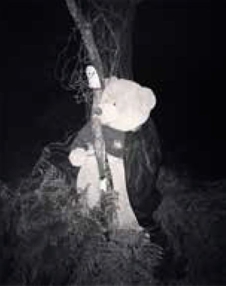 Teddy bear.