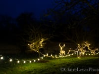 Twinkling festive fun awaits at Chawton House this Christmas