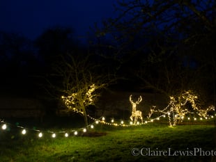Twinkling festive fun awaits at Chawton House this Christmas