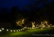 Twinkling festive fun awaits at Chawton House this Christmas