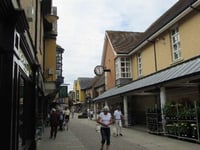 Police hunt pickpocket after incidents in Rams Walk