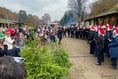 Wylds Farm in Liss kicks off Christmas tree sales with festive fun