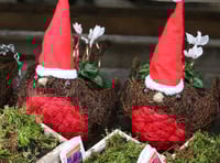 Win a £250 voucher to spend in-store at Squire’s Garden Centres