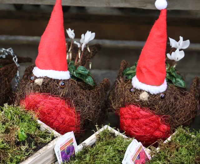 Win a £250 voucher to spend in-store at Squire’s Garden Centres