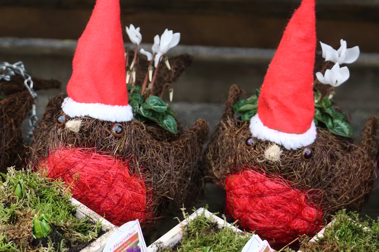 Squire’s has everything you need for Christmas all in one spot – from real Christmas trees to seasonal lights and dazzling decorations – there’s something for everyone...