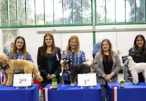 Petersfield dog groomers Bentley’s wins big at competition
