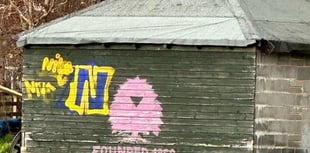 Surrey Police appeal for information on Witley graffiti vandals