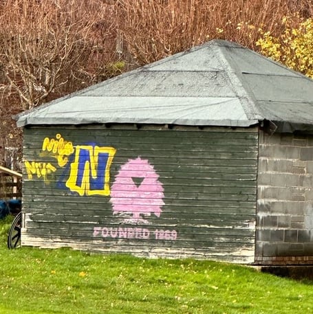 Graffiti on the cricket club shed on Witley Recreation Ground