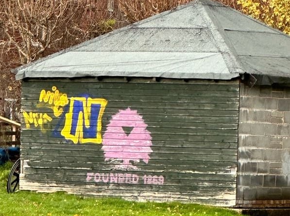 Graffiti on the cricket club shed on Witley Recreation Ground