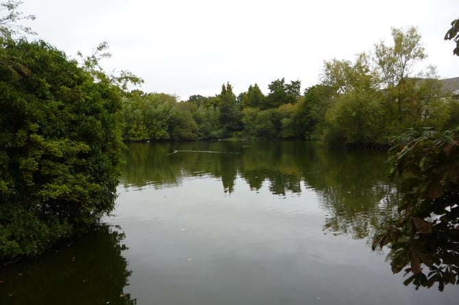 Kings Pond in Alton.