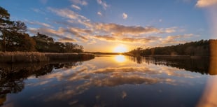 Peeps to the Past: The Nobel laureate with a touch of Robin Hood