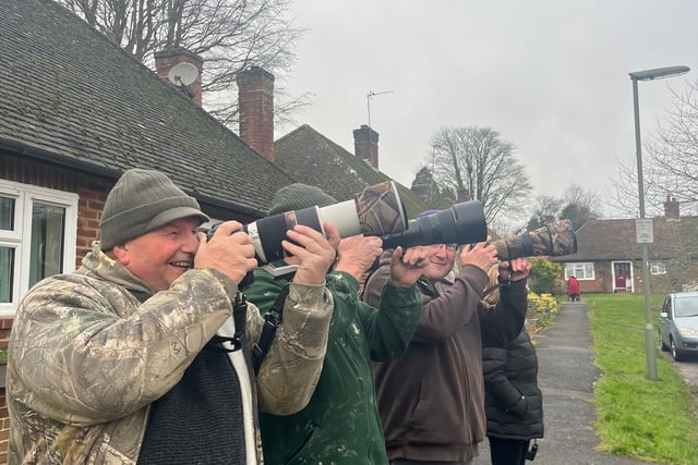 Birdwatchers flock to Farnham to celebrate return of rare waxwings