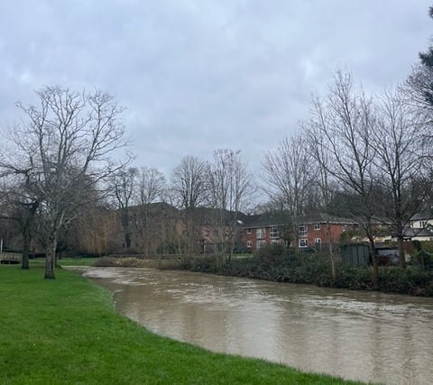 Cocktail of harmful chemicals in the River Wey Catchment