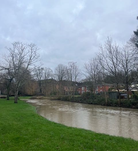 Cocktail of harmful chemicals in the River Wey Catchment
