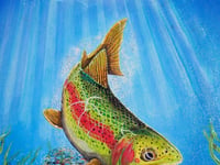 Exhibition by Alton Art Society Thursday Paint Group at Allen Gallery