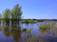 Plans for McDonald's near nature reserve rejected
