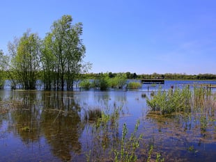 Plans for McDonald's near nature reserve rejected