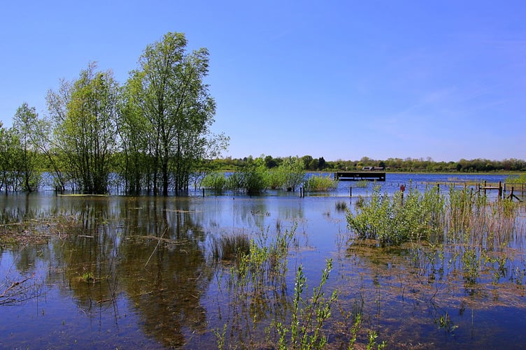 Tice’s Meadow Nature Reserve is located directly adjacent to the proposed McDonald’s at Tongham Services