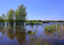 Plans for McDonald's near nature reserve rejected