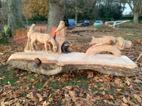 VIDEO: Incredible woodland scene carved into bench in Frensham