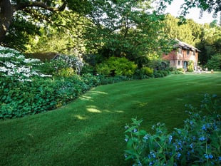 Phyllis Tuckwell calls for gardens to open their gates this spring