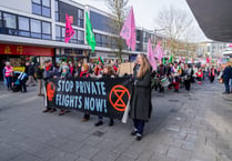 VIDEO: 'Turnout at Farnborough Airport protest shows scale of concern'