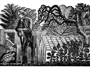 Opinion: What would Gilbert White make of our biodiversity loss?