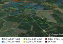 New map shows Surrey and Hampshire have the lowest densities of hedgerows in the UK