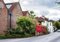 Own a slice of local history: Haslemere Museum puts land up for sale