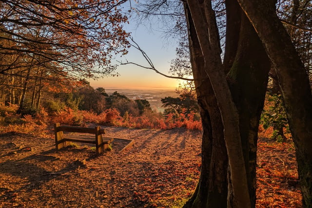 Stunning snaps of Black Down and Hindhead wow National Trust judges