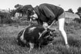 Portraits of Contemporary Farming Life coming to Rural Life museum
