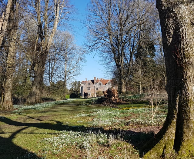 Chawton House hosts second Snowdrop Spectacular on Sunday 