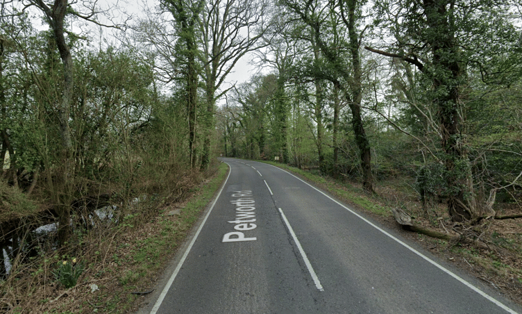 Police say the crash happened on Petworth Road between the junctions for the Chiddingfold Golf Club and Gostrode Lane