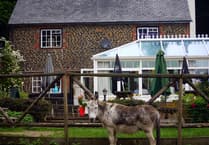 Last eeyorders: The Donkey pub in Elstead announces permanent closure