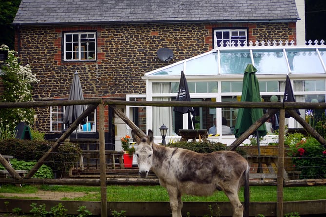 The Donkey pub in Elstead will close its doors for good on March 10
