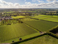 Rail to Trail Walking Festival launched in East Hampshire and Surrey
