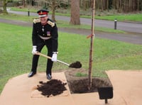 Tree planted in memory of Sister Mary Agnes
